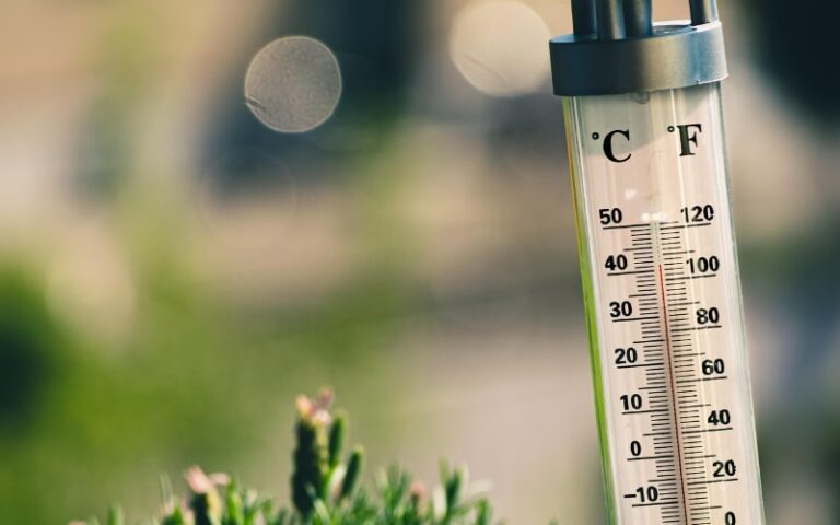 heat-image.jpg