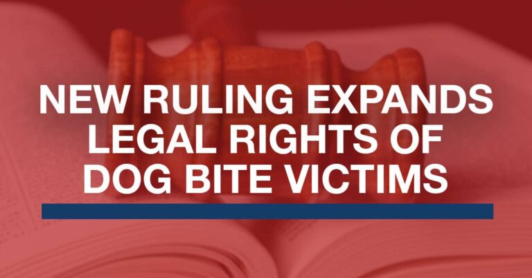 Blog-title-Image-DOG-BITES-.jpg