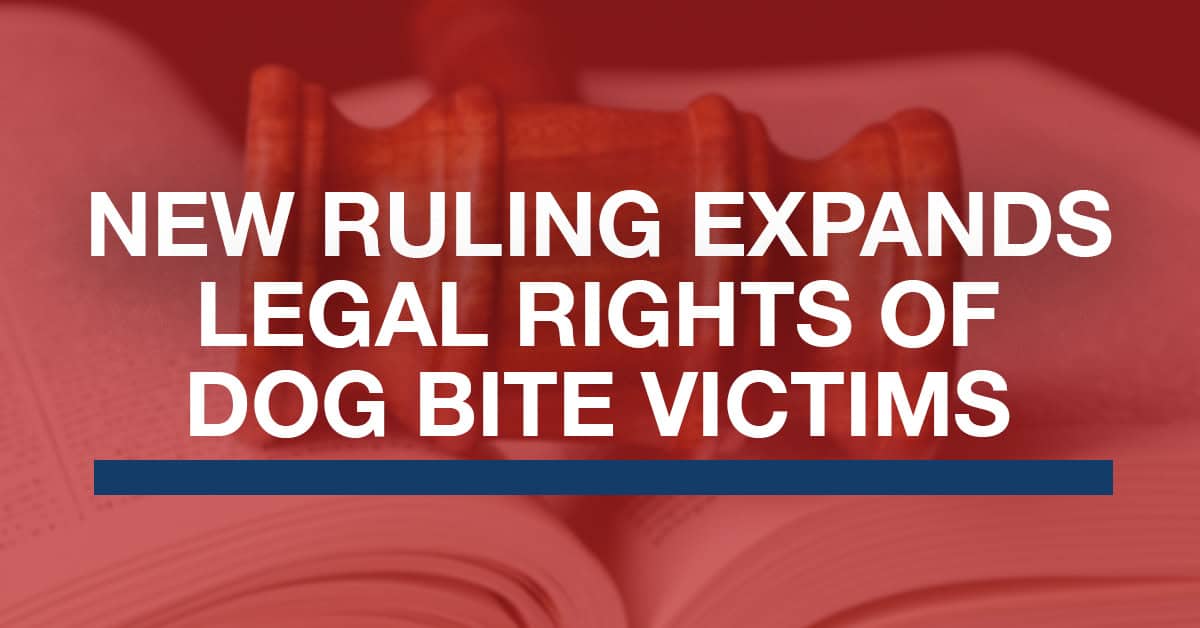Blog-title-Image-DOG-BITES-.jpg